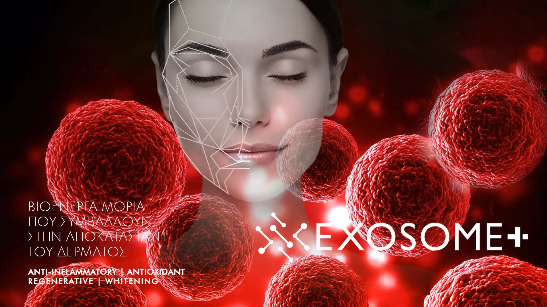 EXOSOME FACE
